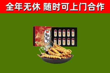 云安回收冬虫夏草价格